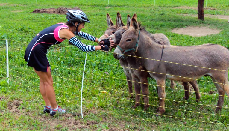 Bsvi-slovenia-biking-3